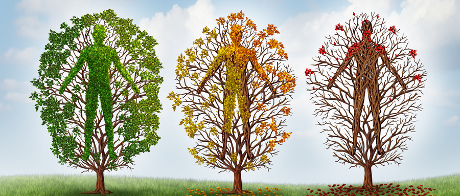 华宏法务损害赔偿服务 华宏法务损害赔偿服务